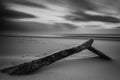 Sable et vent
